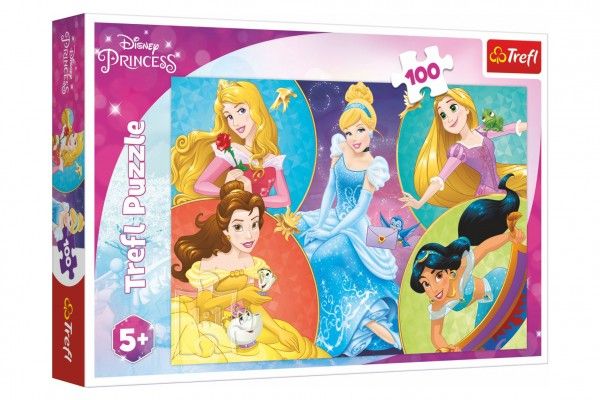 Puzzle Poznejte sladké princezny/Disney Princess 100 dílků 41x27